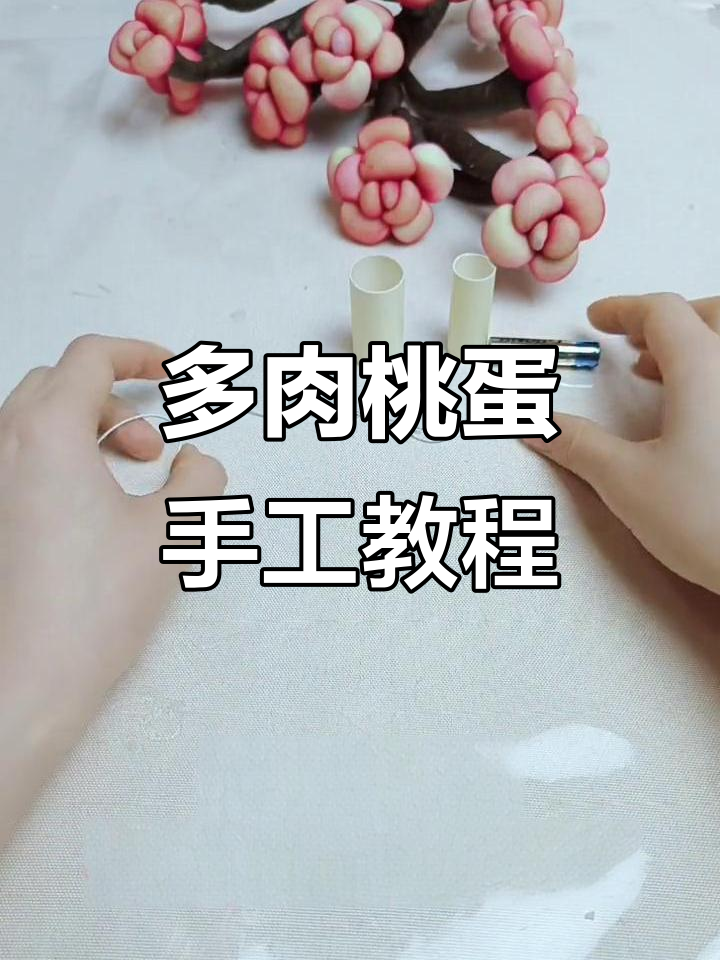 丝网多肉桃蛋制作全攻略,轻松打造可爱DIY作品