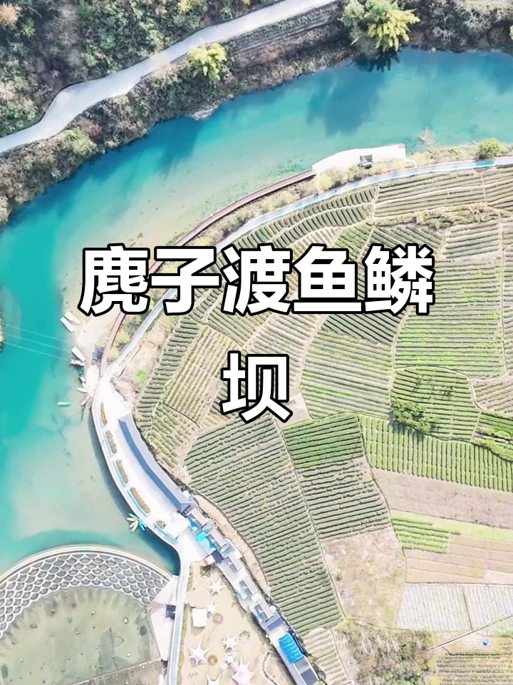 麂子渡鱼鳞坝：亲子游乐新体验