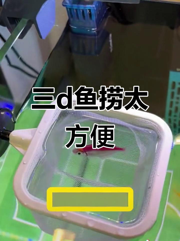 3D立体小鱼捞，伸缩手柄变隔离盒，超实用！
