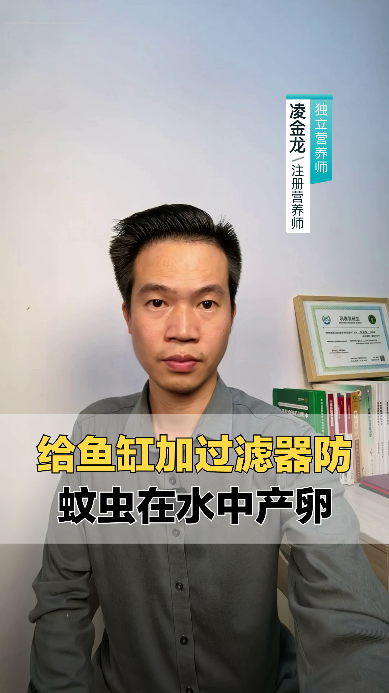 鱼缸加过滤器，真能防蚊产卵？