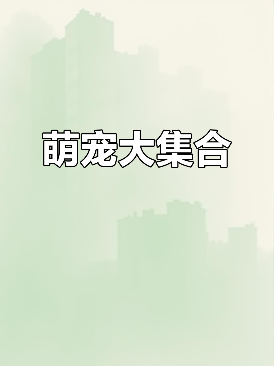 布朗熊、可妮兔和莎莉鸭大冒险,萌宠来袭!