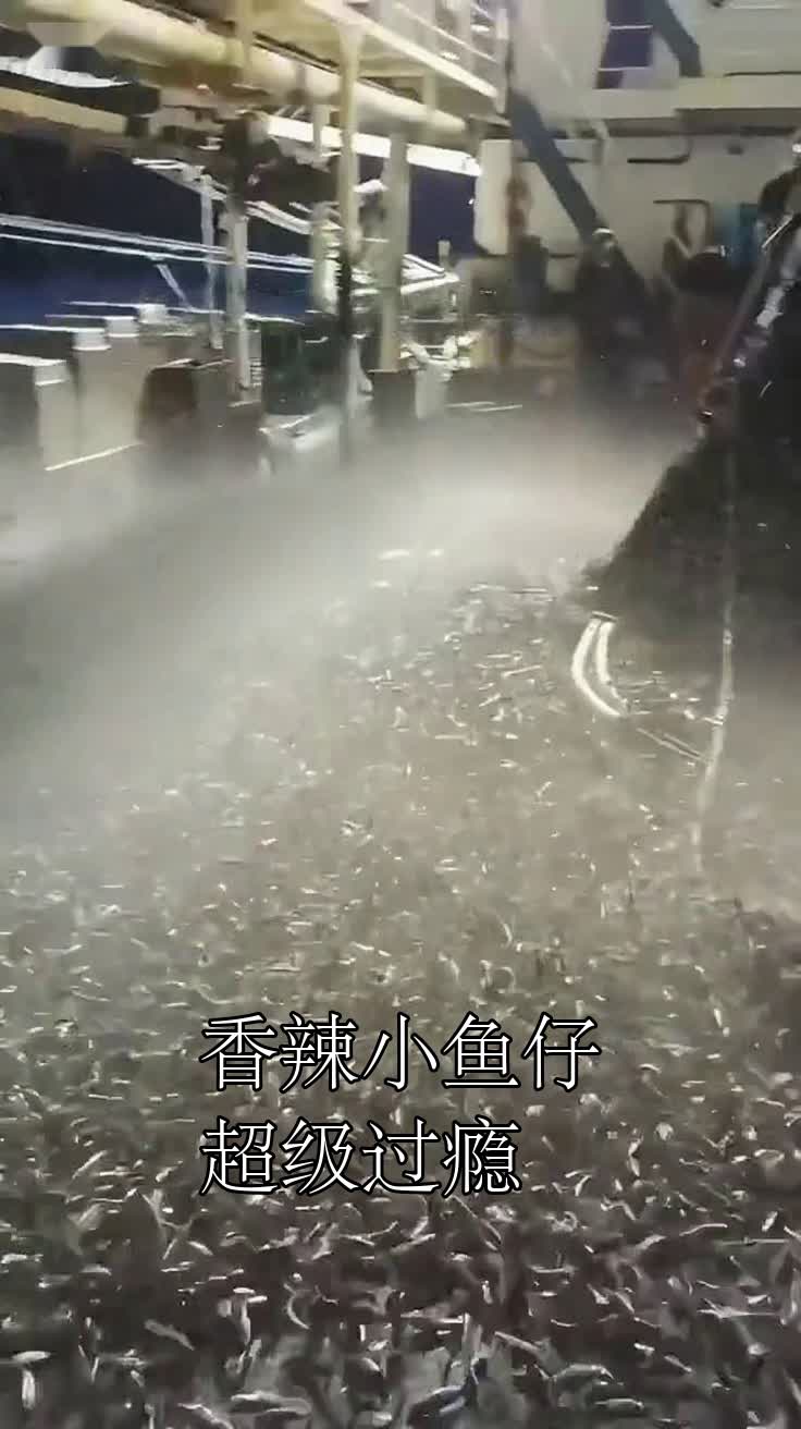 香辣小鱼仔超级过瘾