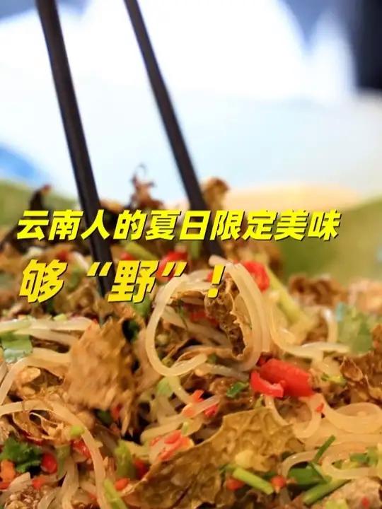 素炒紫藤花、槐花鸡蛋饼、白花烩豆米、枇杷叶洋芋汤、木姜子炒鸡、树皮拌粉丝……这个夏天，来云