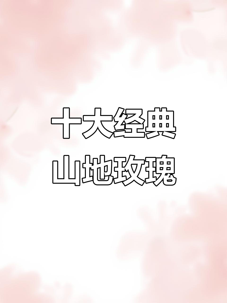 十种常见山地玫瑰品种大揭秘，美丽多肉植物全解析