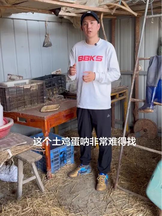 湖北农村散养土鸡蛋#湖北#农村#散养土鸡#土鸡蛋