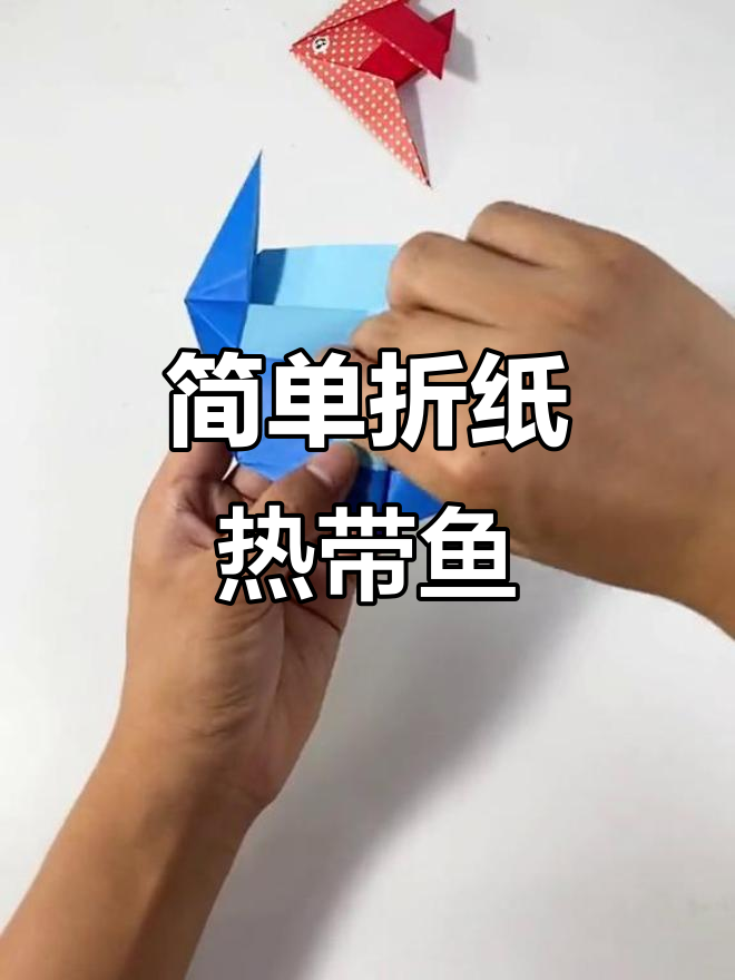 折纸热带鱼教程,轻松学会韩国海洋动物系列