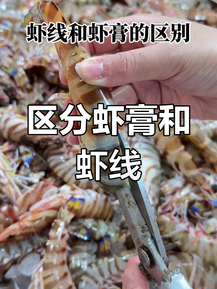 虾膏与虾线的区别解析