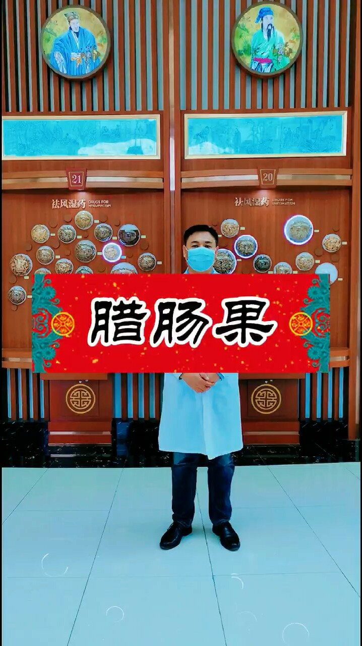 中药腊肠果润肠通便、排毒养颜、清肝解毒