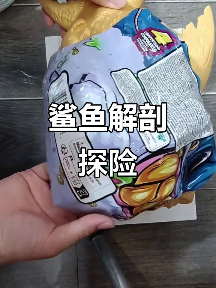 超级鲨鱼解剖大冒险,迷你公带你探索宝藏X