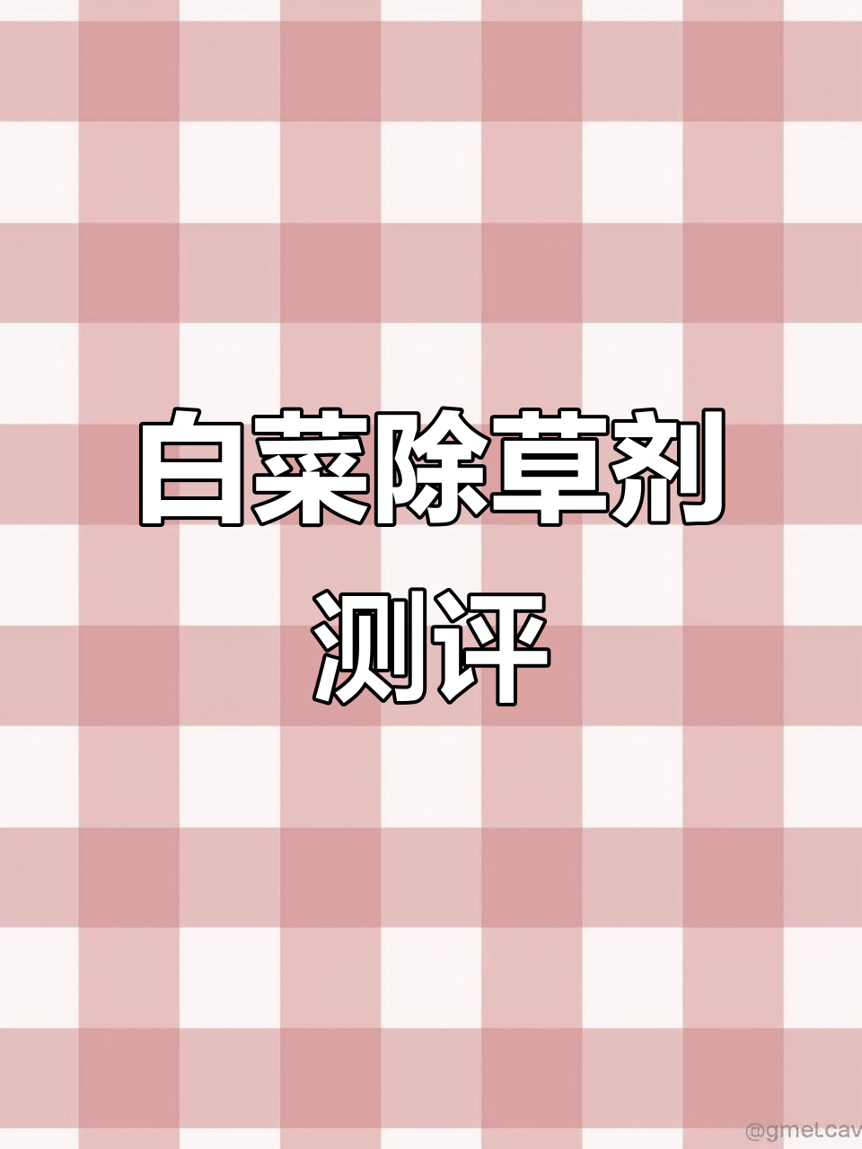 白菜苗后除草剂效果实测,轻松去除杂草
