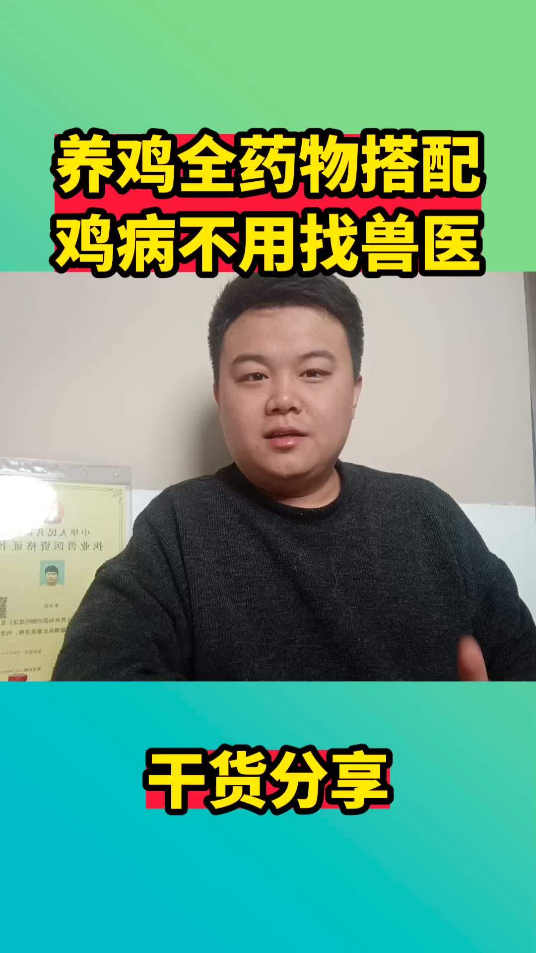 散养土鸡交流 养鸡人 跑山鸡 散养土鸡 林下生态散养鸡