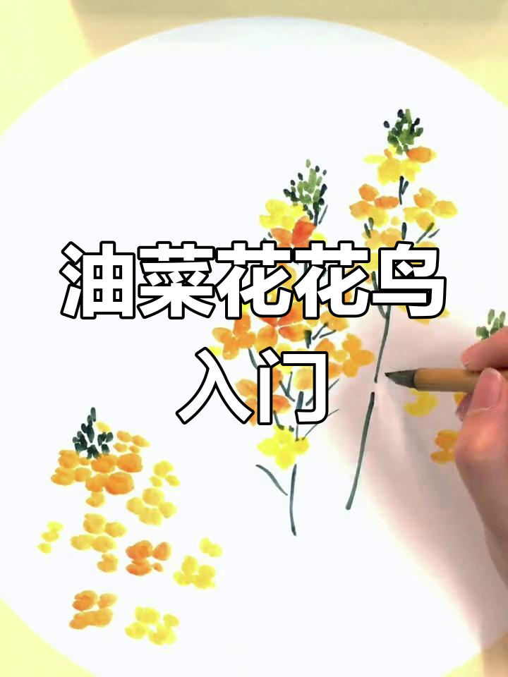 少儿国画油菜花教程,简单步骤学会写意花鸟