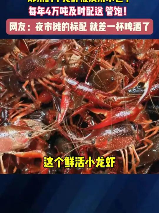 郑州的小龙虾被潢川承包了 每年4万吨即时配送 管饱!小龙虾 优质农产品 快来一起尝个鲜