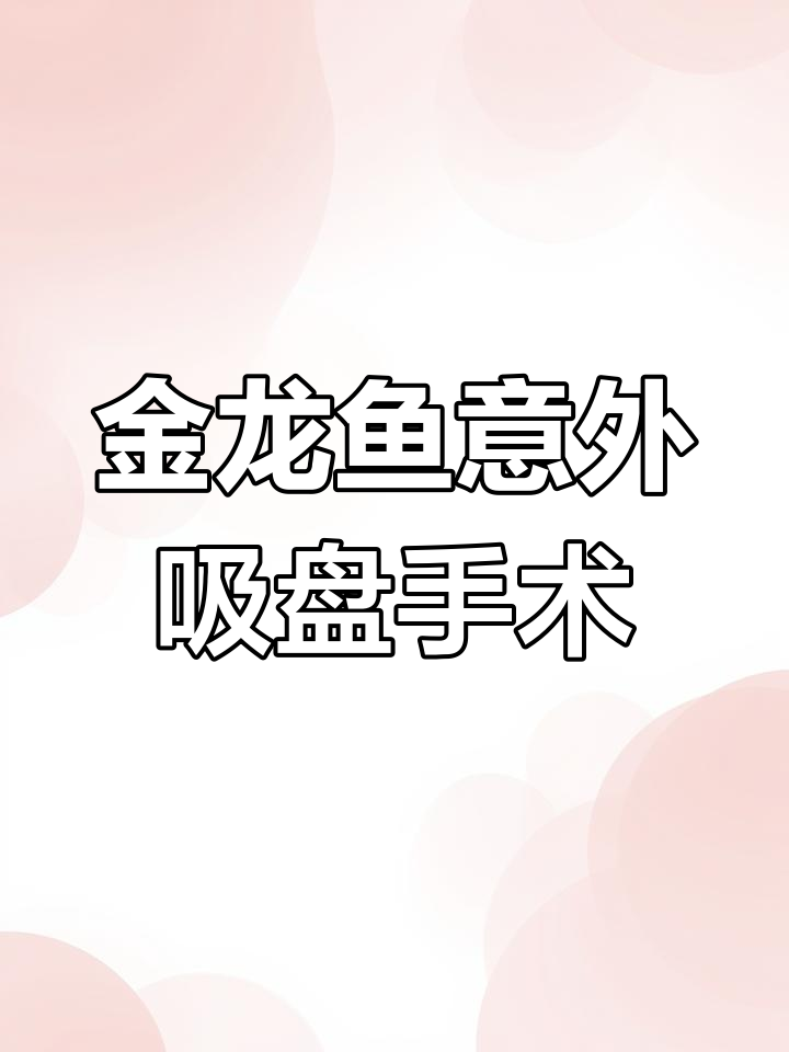 鱼也能做手术?30万金龙鱼的惊天手术