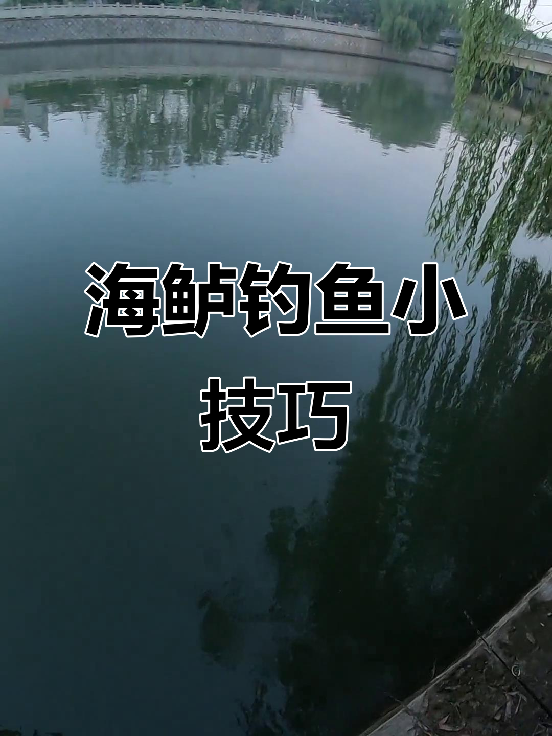 钓海鲈的技巧,掌握这些让你轻松上手