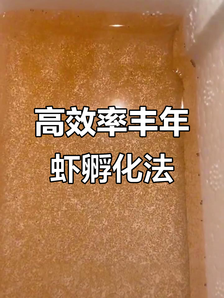 丰年虾孵化技巧大揭秘,简单步骤教你轻松收虾