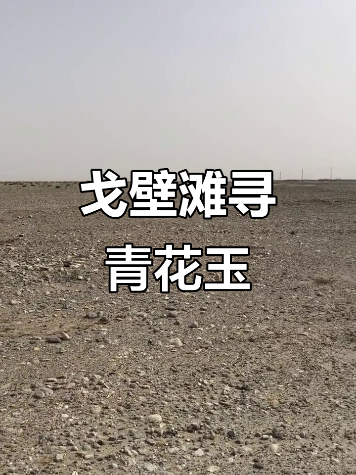 新疆戈壁滩上的青花白玉,原石魅力尽显