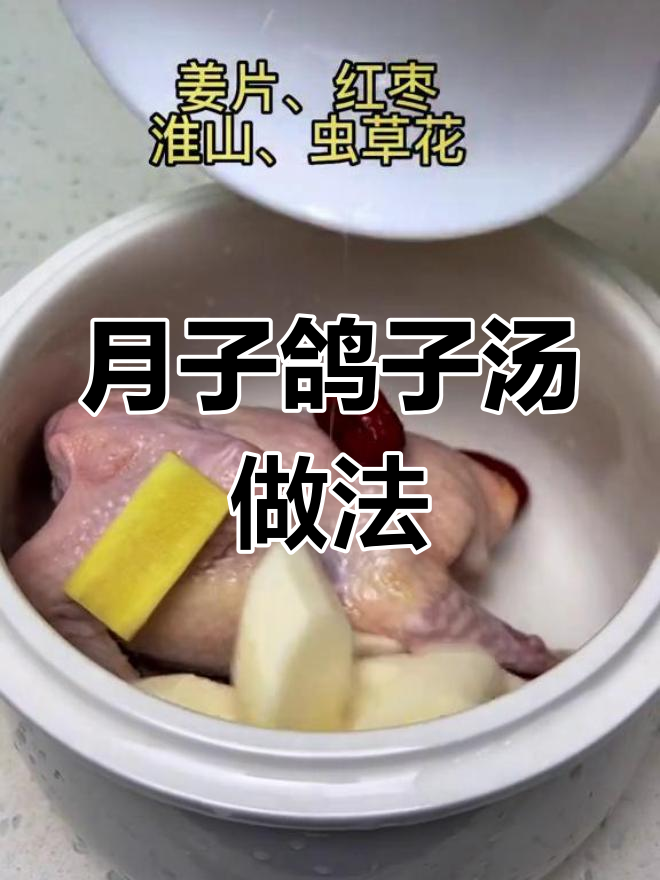 产妇必备鸽子汤,简单炖煮营养满分