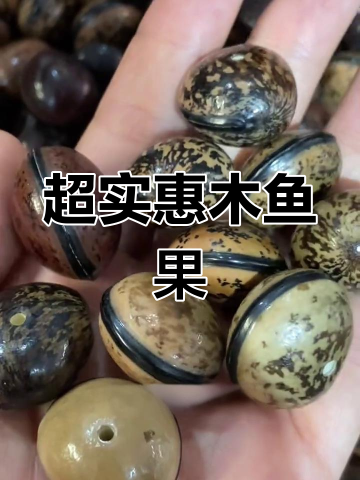 木鱼果手串,独特小众饰品