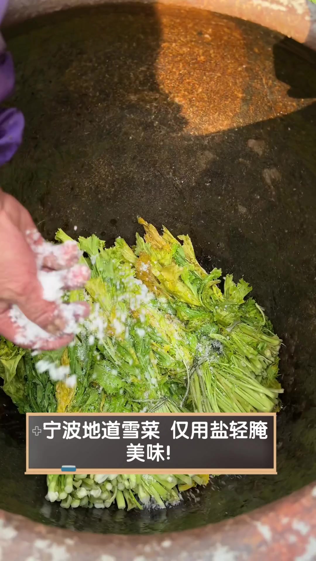 宁波地道雪菜,仅用盐轻腌,美味!