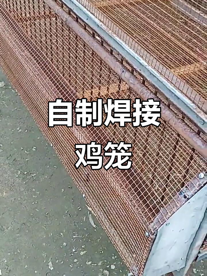 自己动手焊鸡笼,双开门设计防鼠又实用