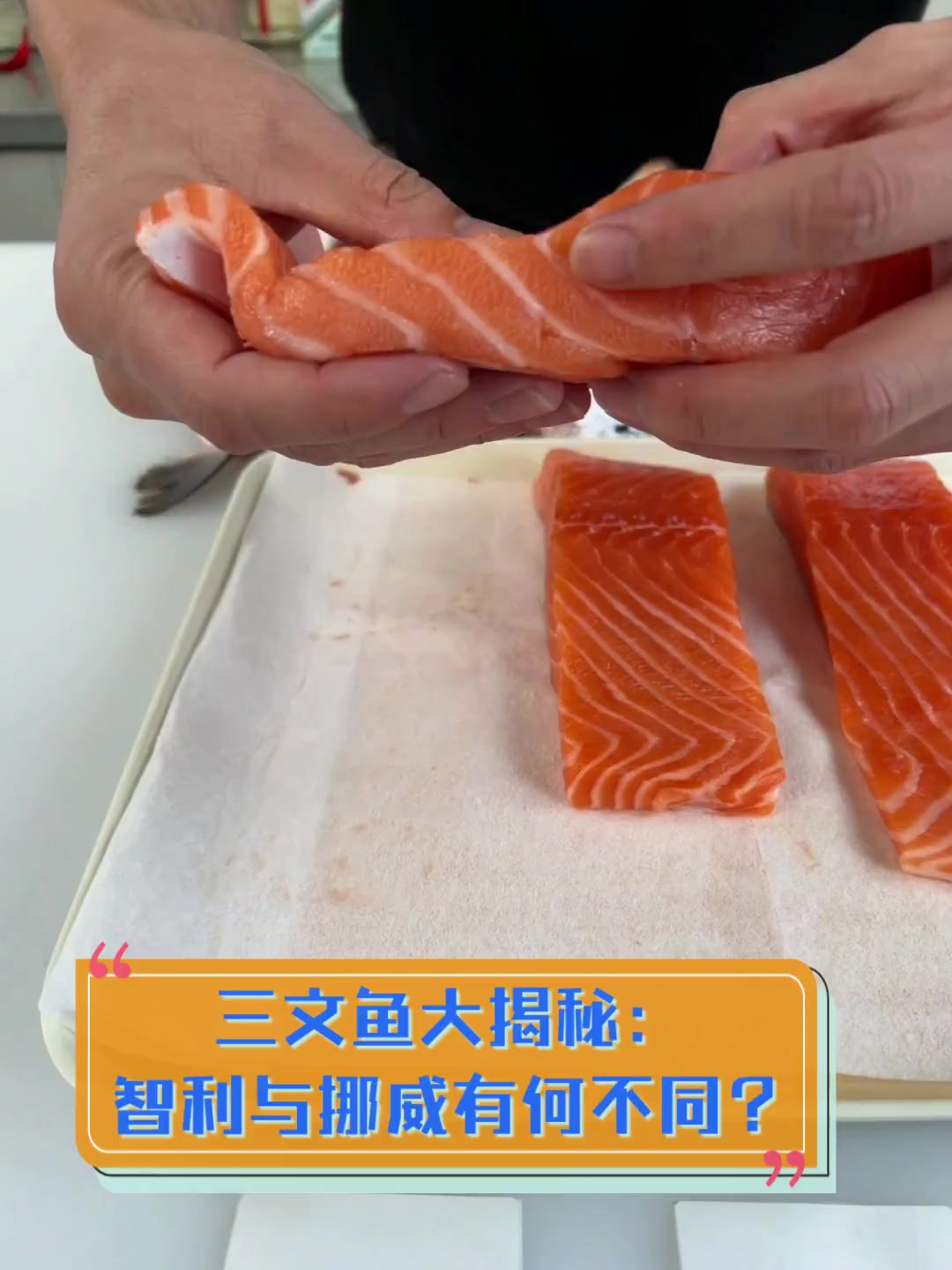 三文鱼大揭秘:智利与挪威有何不同?