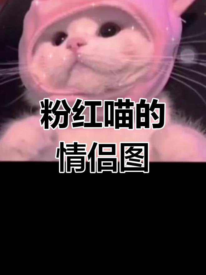 温柔猫咪情侣头像,心动瞬间