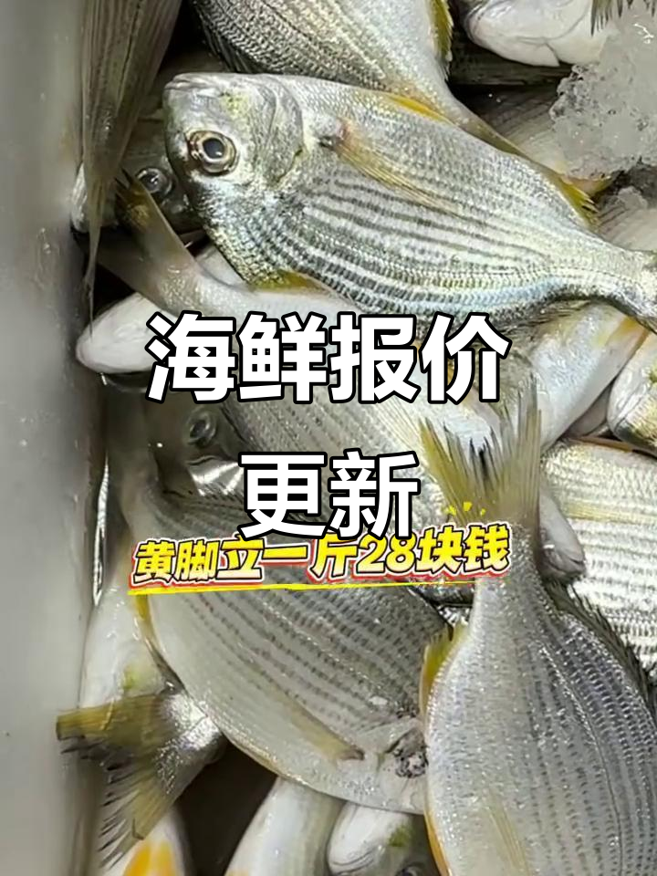 11月汕尾海鲜价格,新鲜直送!