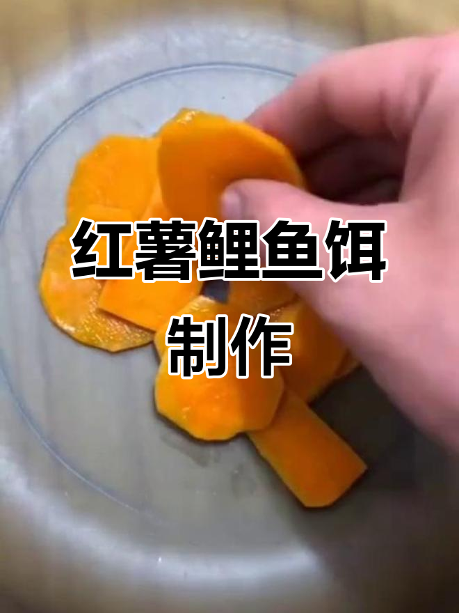 用红薯和玉米面粉做鲤鱼饵,效果超赞!