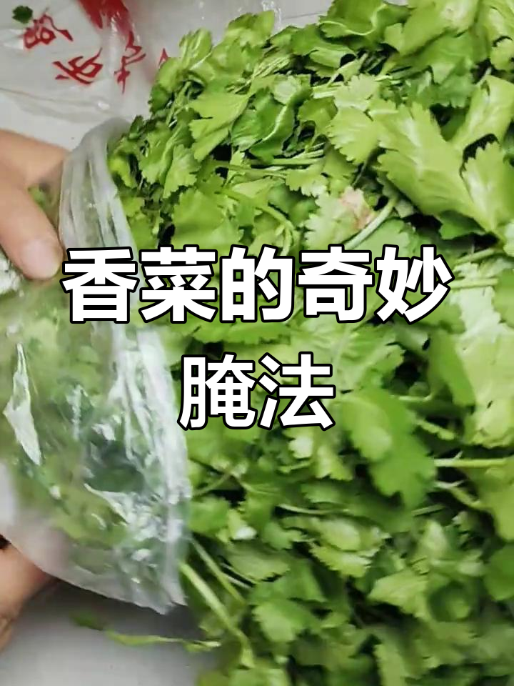 香菜腌制后味道惊人,简单又开胃,拌饭吃停不下来!