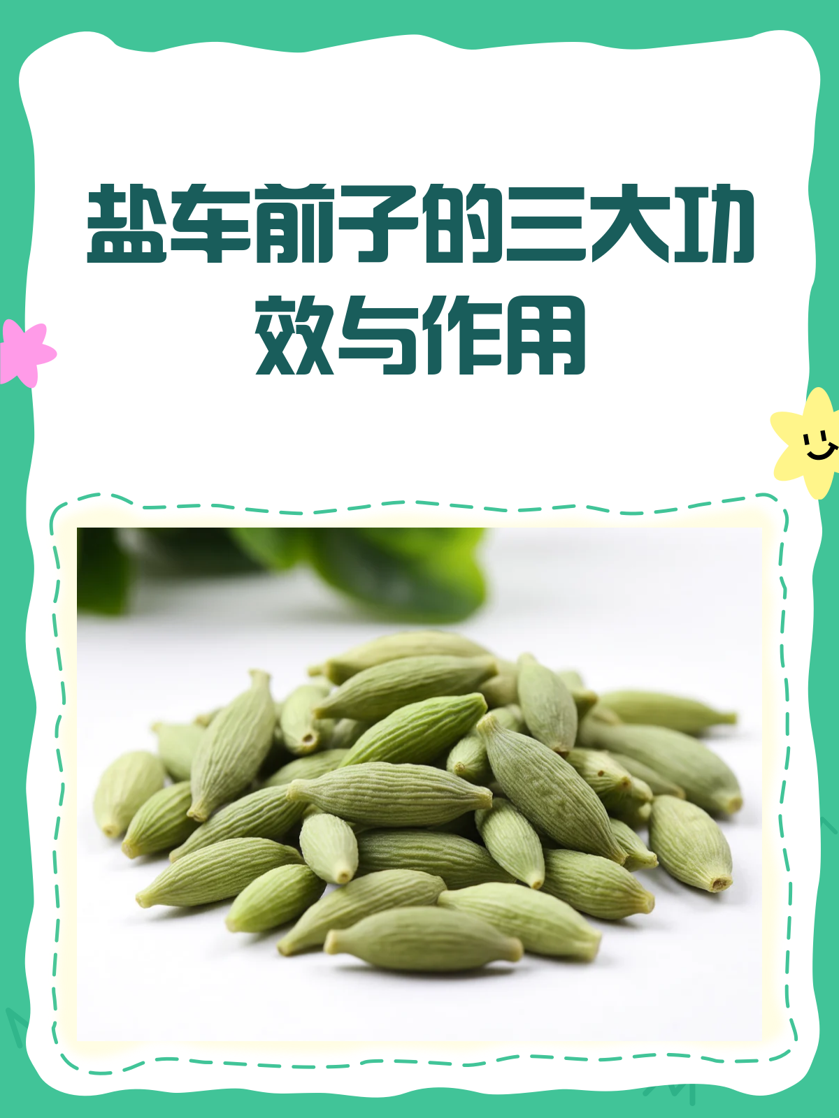 盐车前子:清热利尿又明目,但这些人慎用!