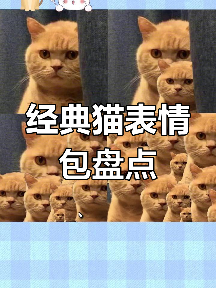 猫咪表情包来源揭秘