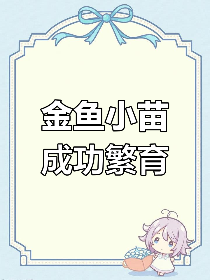 兰寿金鱼小苗孵化全过程,轻松掌握繁殖技巧