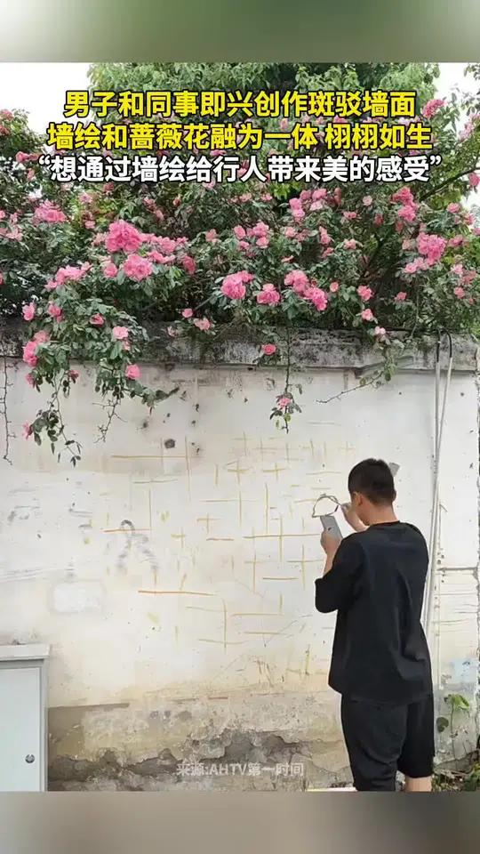 男子和同事即兴创作斑驳墙面,墙绘和蔷薇花融为一体 栩栩如生,“想通过墙绘给行人带来美的感受