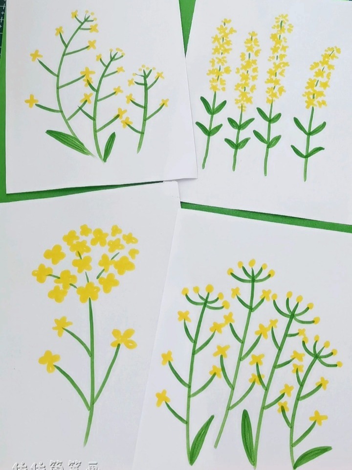 一起来画漂亮的油菜花吧