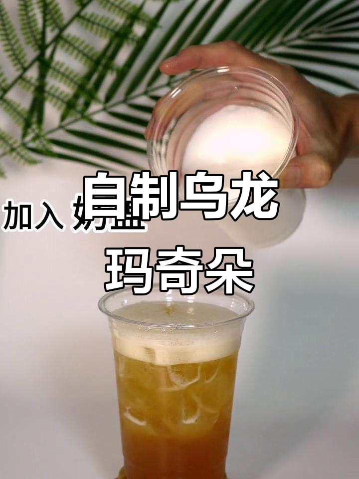 乌龙玛奇朵制作秘籍,轻松搞定好喝饮品