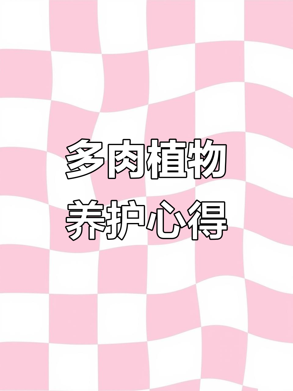 薄化妆全状态,多肉植物慢慢变美
