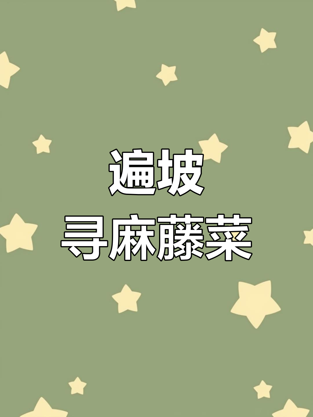 带你翻坡找野菜,麻藤菜的秘密大揭秘