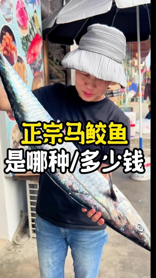 买马鲛鱼,深海鱼好还是近岸鱼好