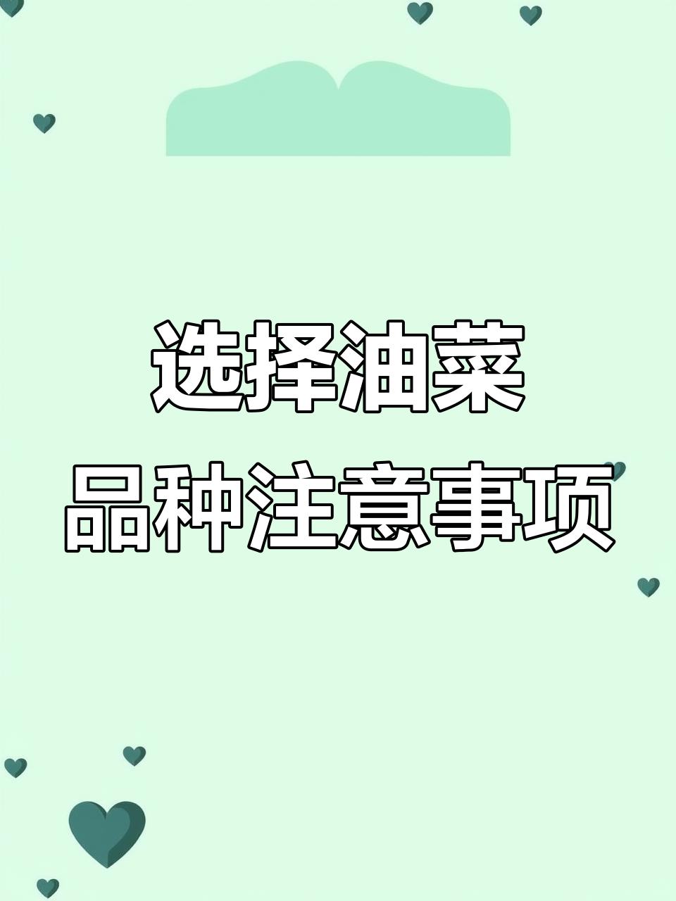 油菜品种选择技巧：如何挑选适合的冬春性品种