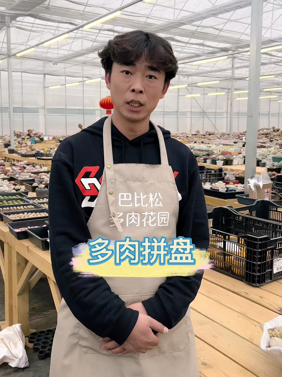 园艺养花人喜好之多肉植物拼盘