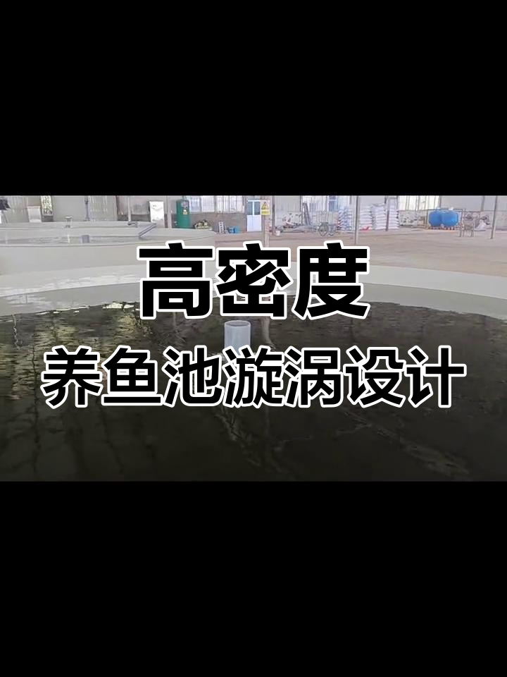工厂化养殖水循环设计揭秘,漩涡如何高效集污