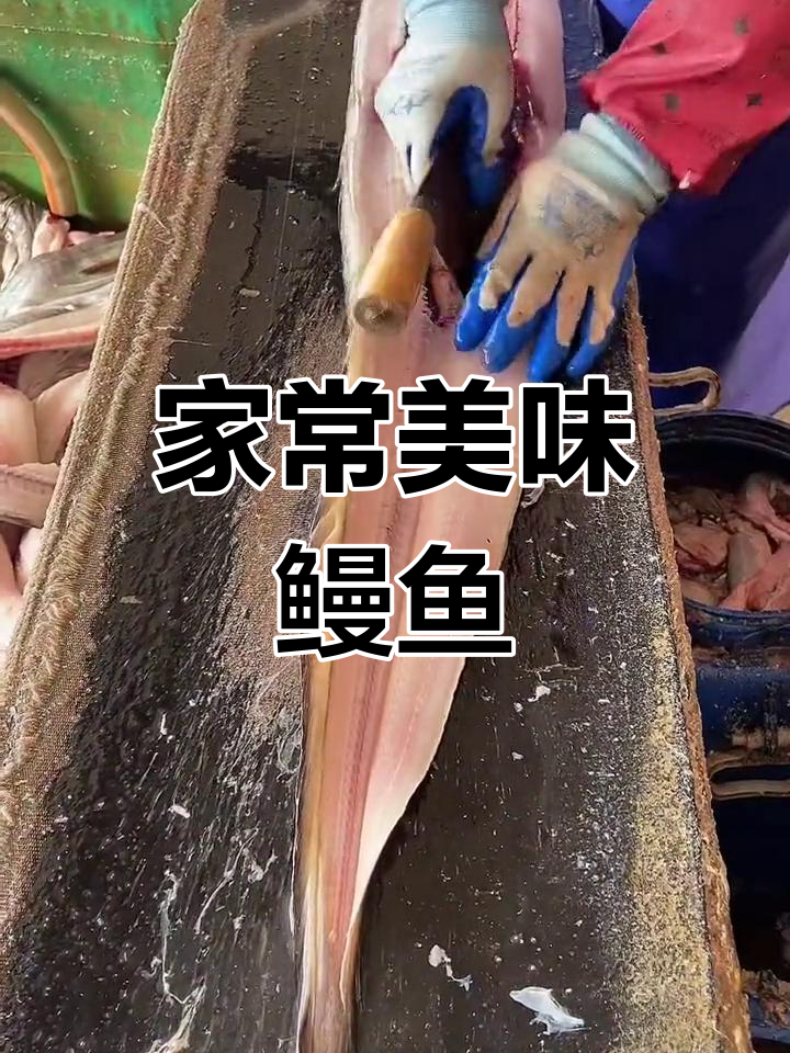 鳗鱼干红烧,家常做法也能做出绝妙风味