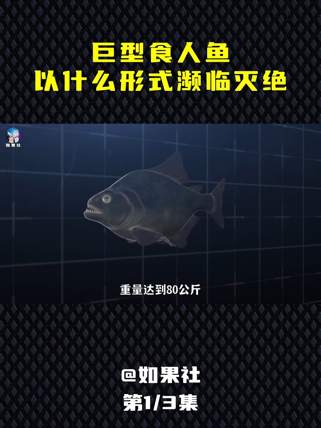 如果巨型食人鱼还存在,会怎样濒临灭绝?