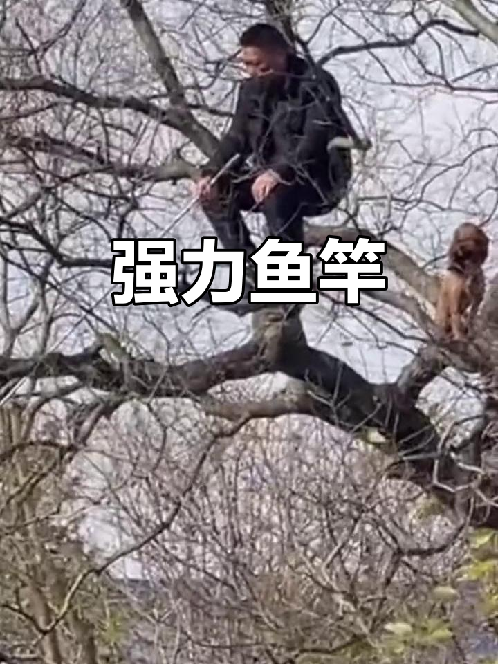 名伦6H鱼竿,强劲腰力轻松飞钓3-5斤大物