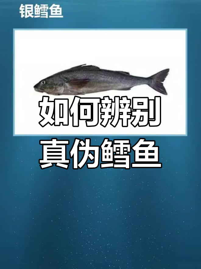 鳕鱼种类大揭秘,真假难辨