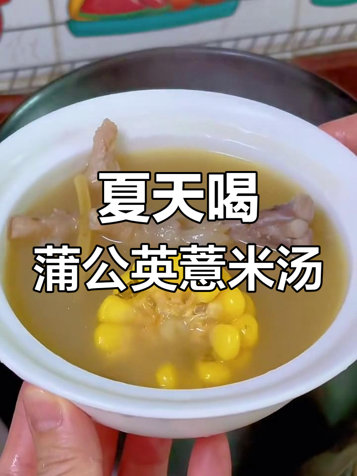 夏季必备蒲公英薏米排骨汤,清凉又美味
