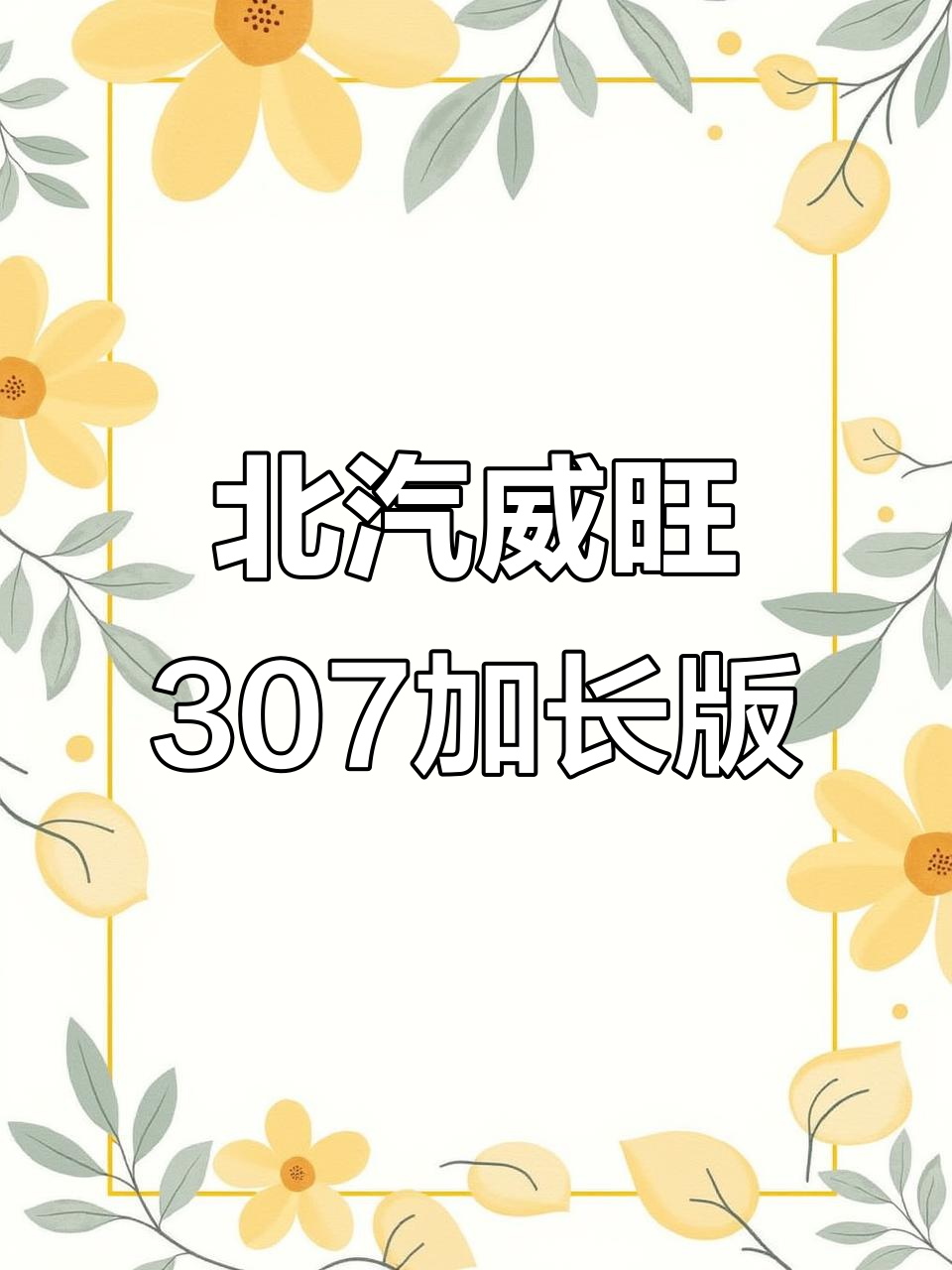 北汽威旺307加长版