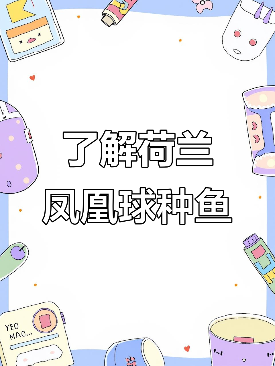 探秘荷兰凤凰球种鱼：独特魅力与养殖技巧