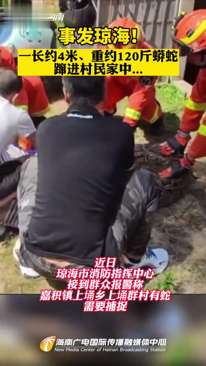 事发琼海!一长约4米、重约120斤蟒蛇,蹿进村民家中……海南 蟒蛇 安全